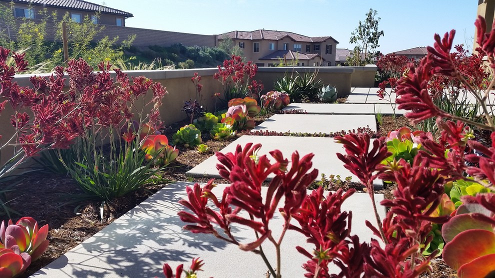 На фото: большой солнечный засухоустойчивый сад на переднем дворе в средиземноморском стиле с хорошей освещенностью и мощением тротуарной плиткой с