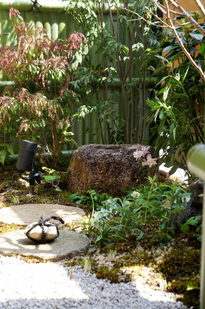 東京23区にある和風のおしゃれな坪庭の写真