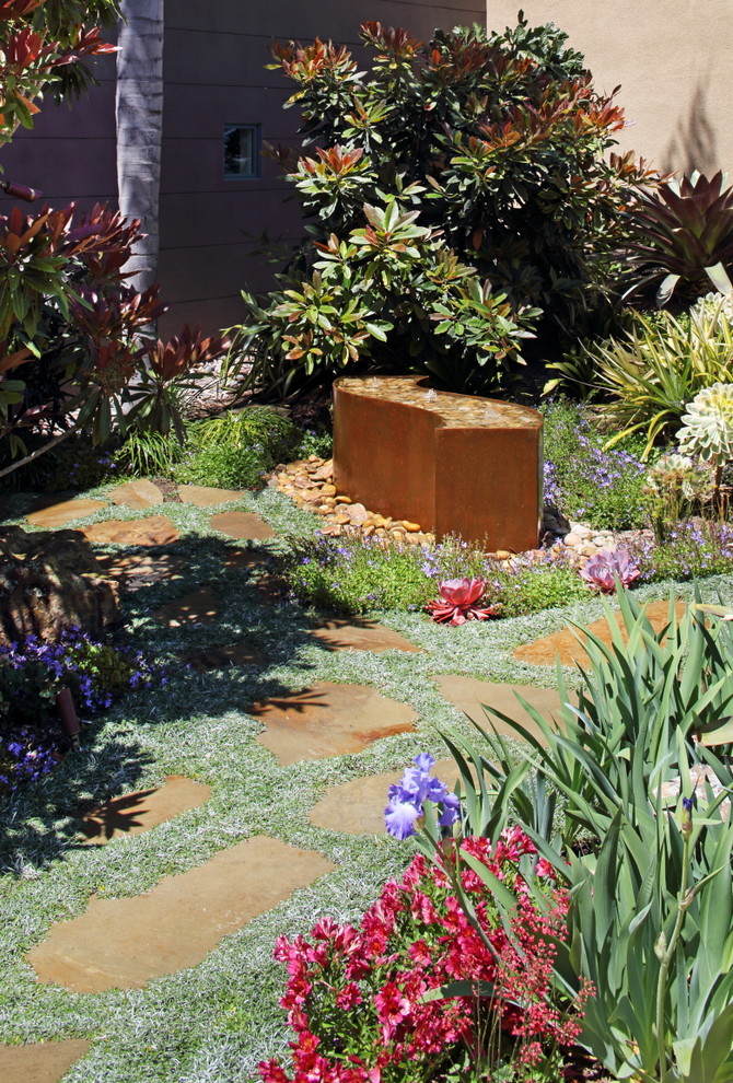Geometrischer, Mittelgroßer Klassischer Vorgarten im Frühling mit direkter Sonneneinstrahlung in San Diego