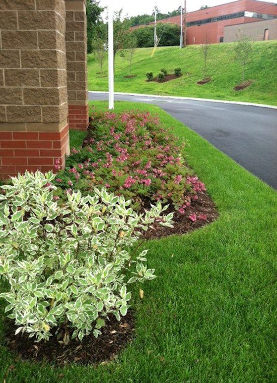 Our Landscape Portfolio Traditional Landscape Portland Maine by