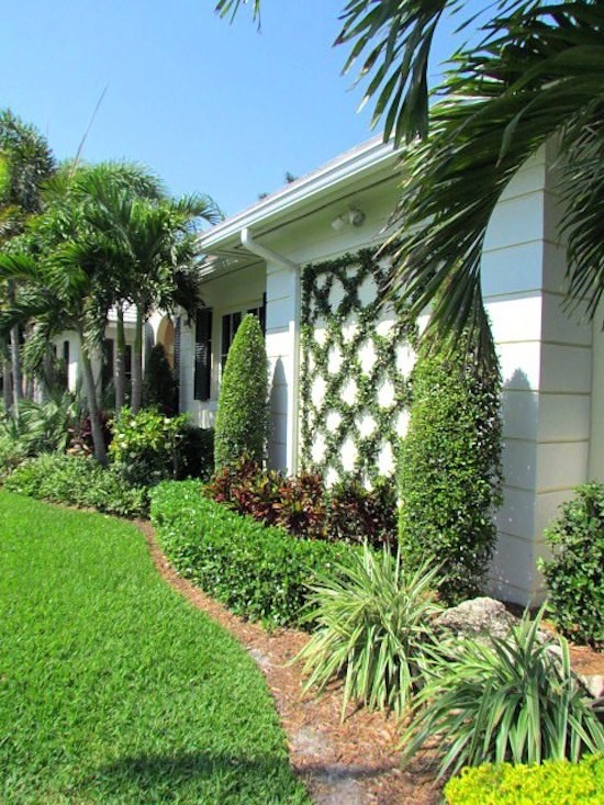 Diseño de jardín tropical de tamaño medio en primavera en patio delantero con jardín vertical, exposición parcial al sol y mantillo