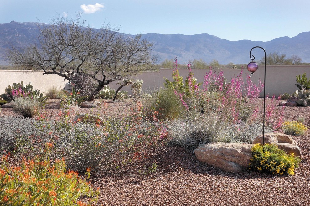 Imagen de jardín de secano de estilo americano grande en patio trasero con exposición total al sol y gravilla