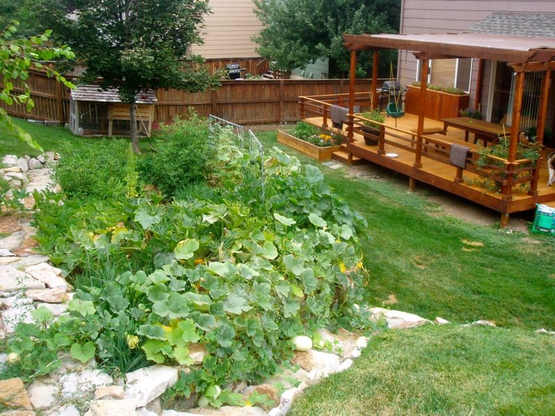 Imagen de camino de jardín clásico de tamaño medio en verano en patio trasero con exposición total al sol y adoquines de piedra natural