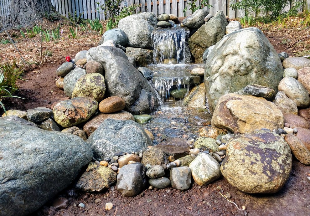 Geräumiger Klassischer Garten hinter dem Haus mit Wasserspiel, direkter Sonneneinstrahlung und Mulch in Seattle