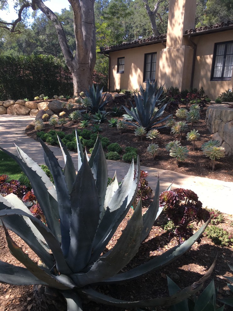 Großer, Halbschattiger Mediterraner Garten mit Mulch in Orange County