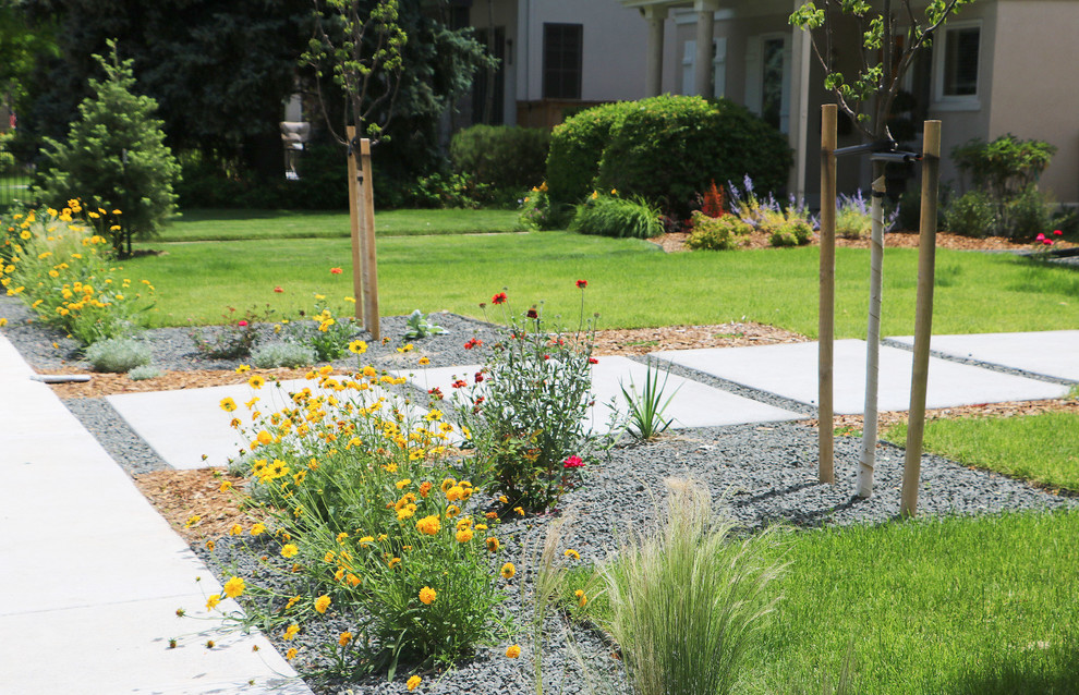 Esempio di un piccolo giardino xeriscape moderno esposto in pieno sole davanti casa in estate con un ingresso o sentiero
