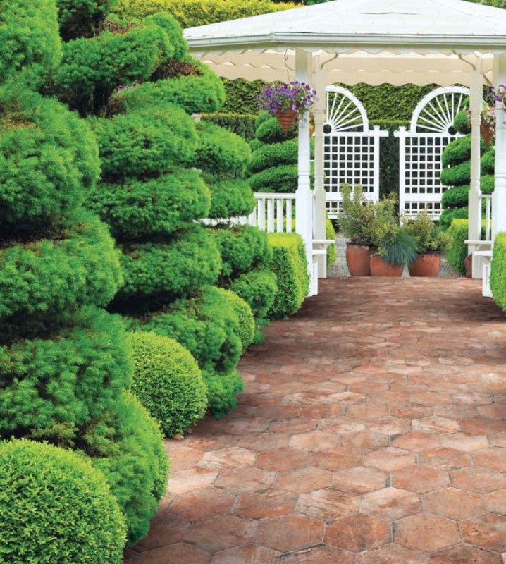 Идея дизайна: весенний регулярный сад среднего размера на заднем дворе в классическом стиле с садовой дорожкой или калиткой, полуденной тенью и мощением клинкерной брусчаткой