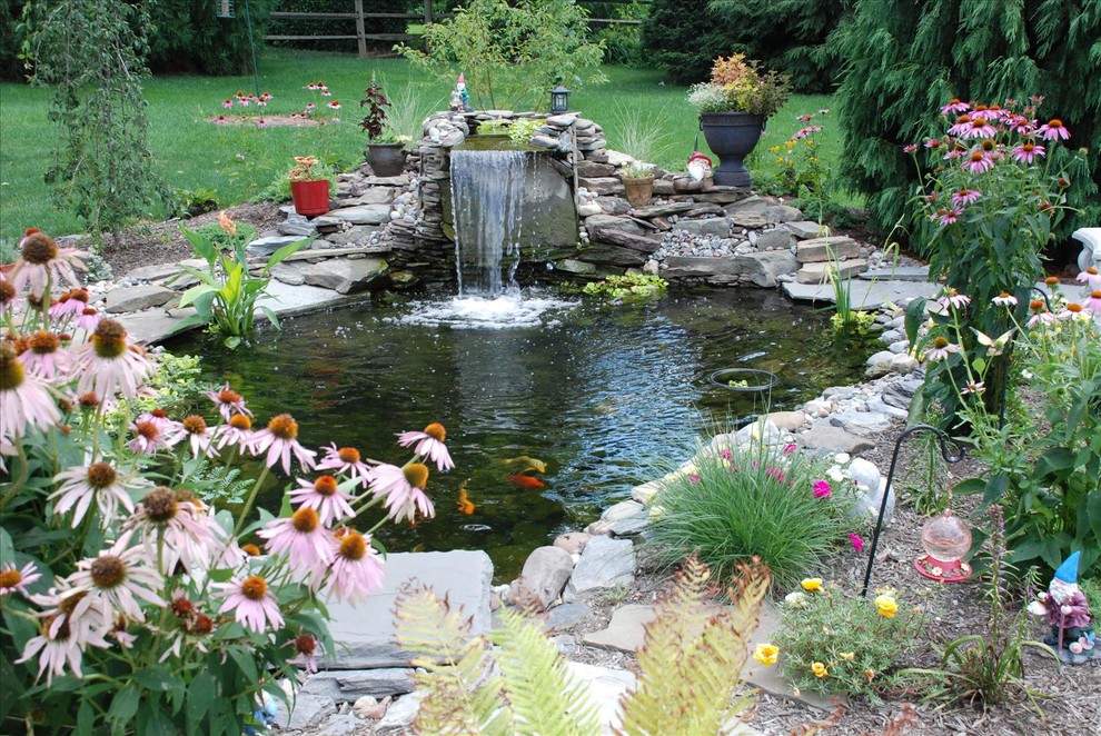 На фото: солнечный, летний сад с прудом на заднем дворе в классическом стиле с хорошей освещенностью и мульчированием с