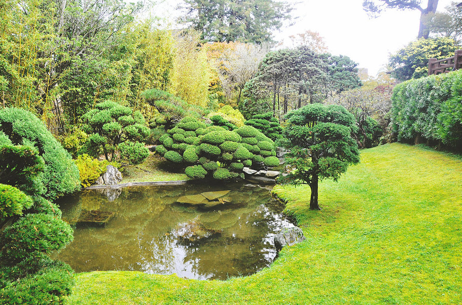 Réalisation d'un grand jardin à la française arrière asiatique avec un bassin.