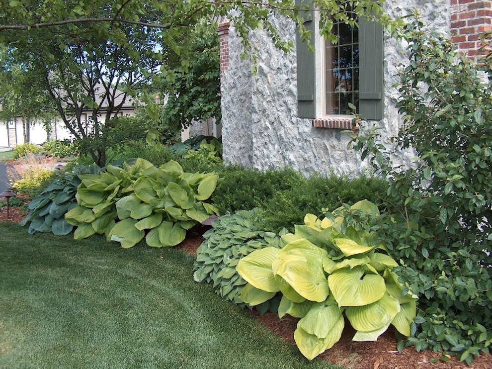Photo of a large traditional shade front yard stone garden path in Milwaukee.