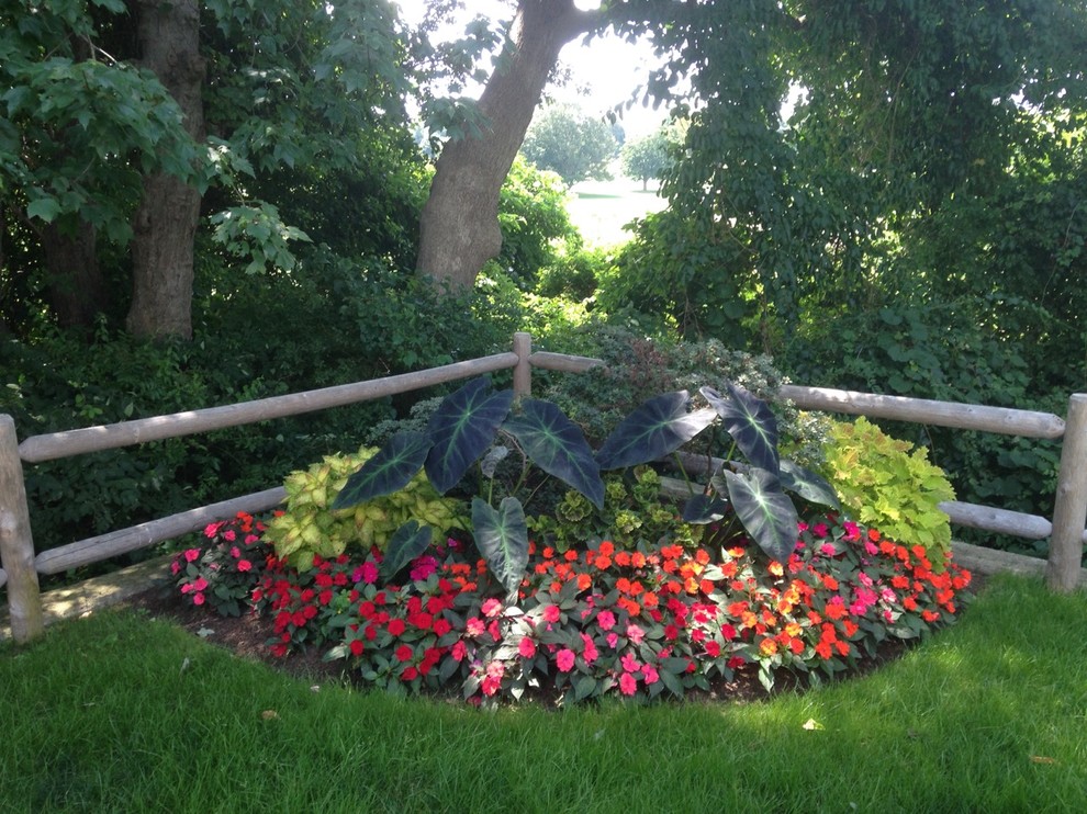 Cette photo montre un jardin arrière chic de taille moyenne et au printemps avec une exposition ombragée et un paillis.