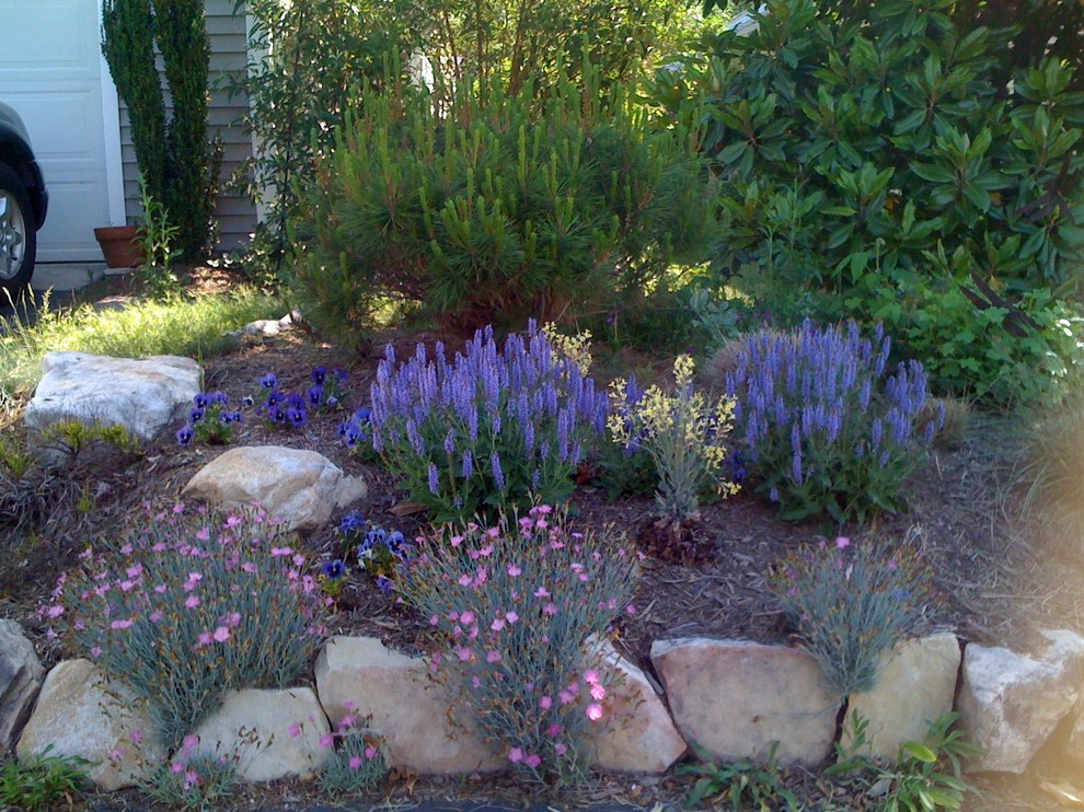 На фото: маленький участок и сад на боковом дворе в современном стиле с полуденной тенью для на участке и в саду