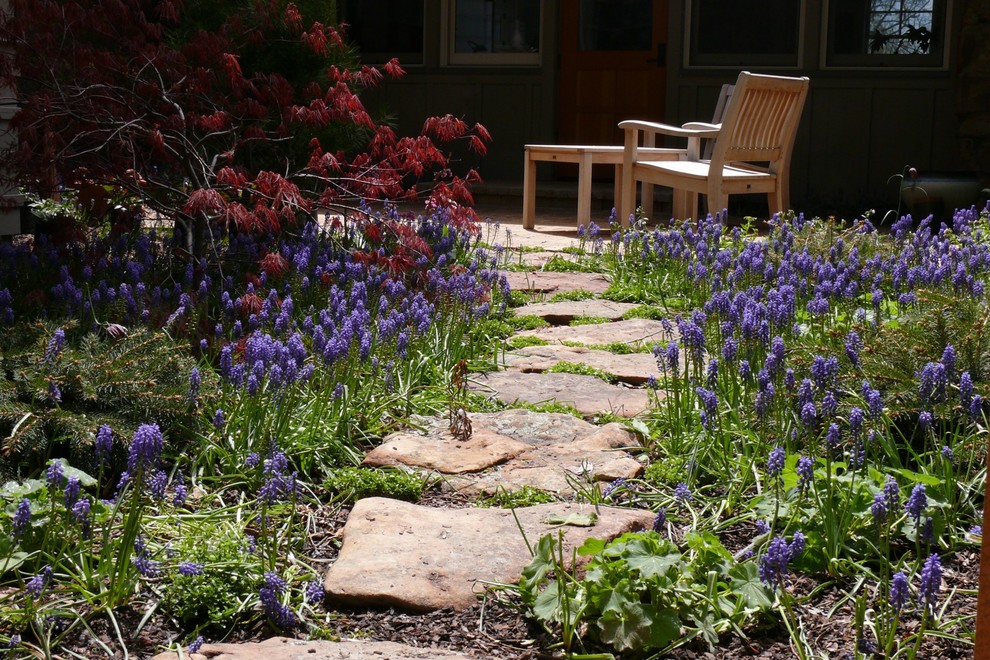 Ejemplo de jardín contemporáneo en patio trasero con jardín francés y adoquines de piedra natural