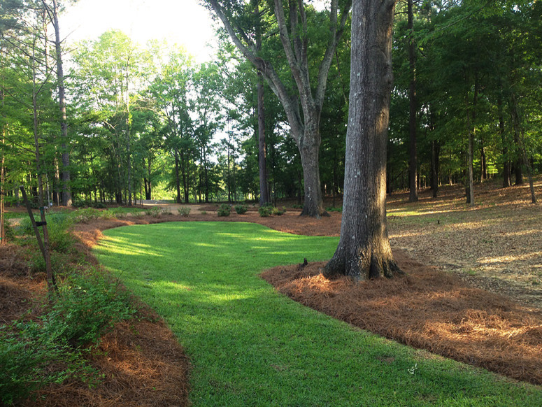 Our Work Landscape Jackson by Hartley Landscape Houzz