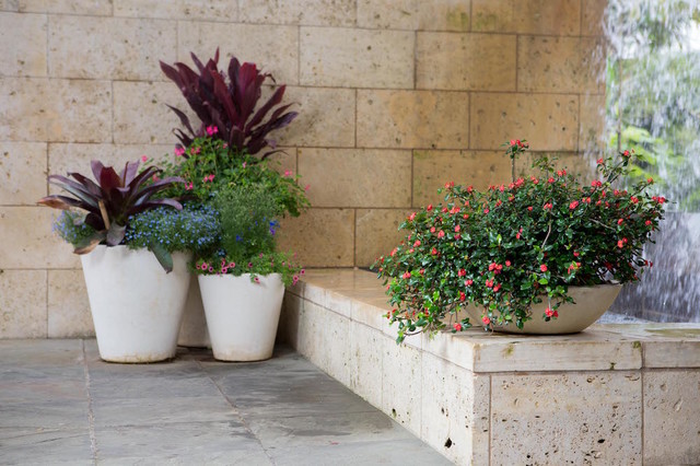 Our Work - Mediterranean - Garden - Dallas - by Jacksons Home & Garden