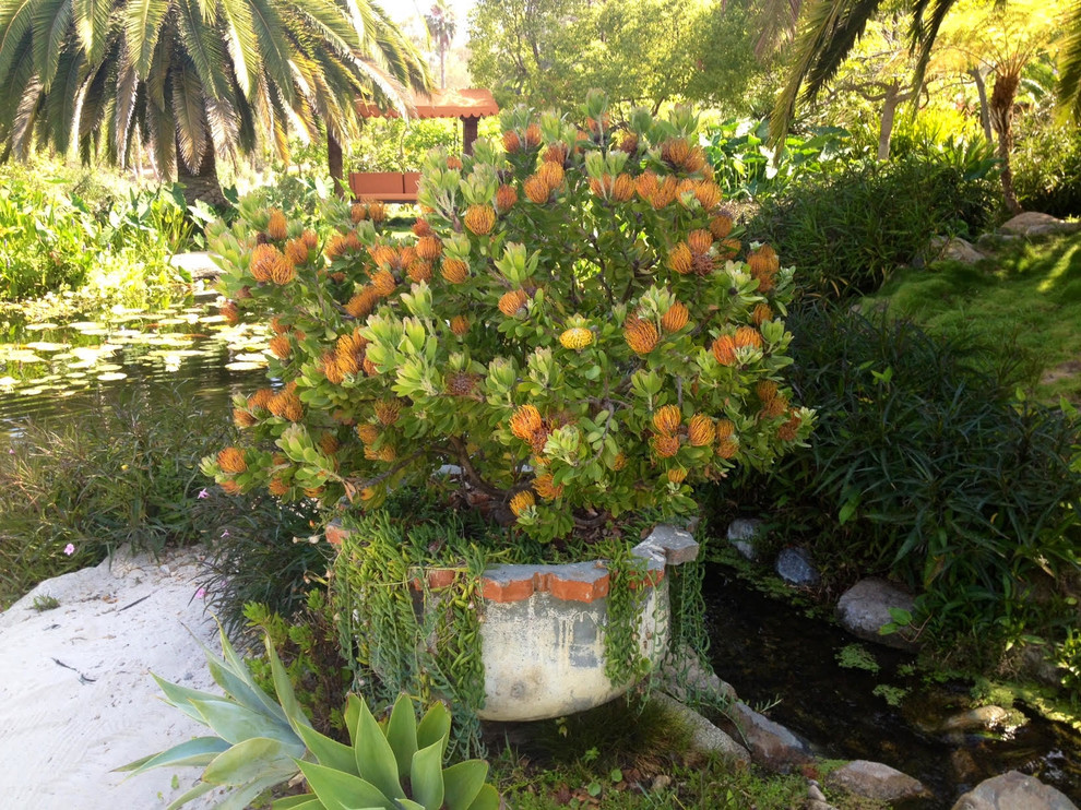 Geometrischer, Geräumiger Klassischer Garten im Sommer mit direkter Sonneneinstrahlung und Natursteinplatten in San Diego