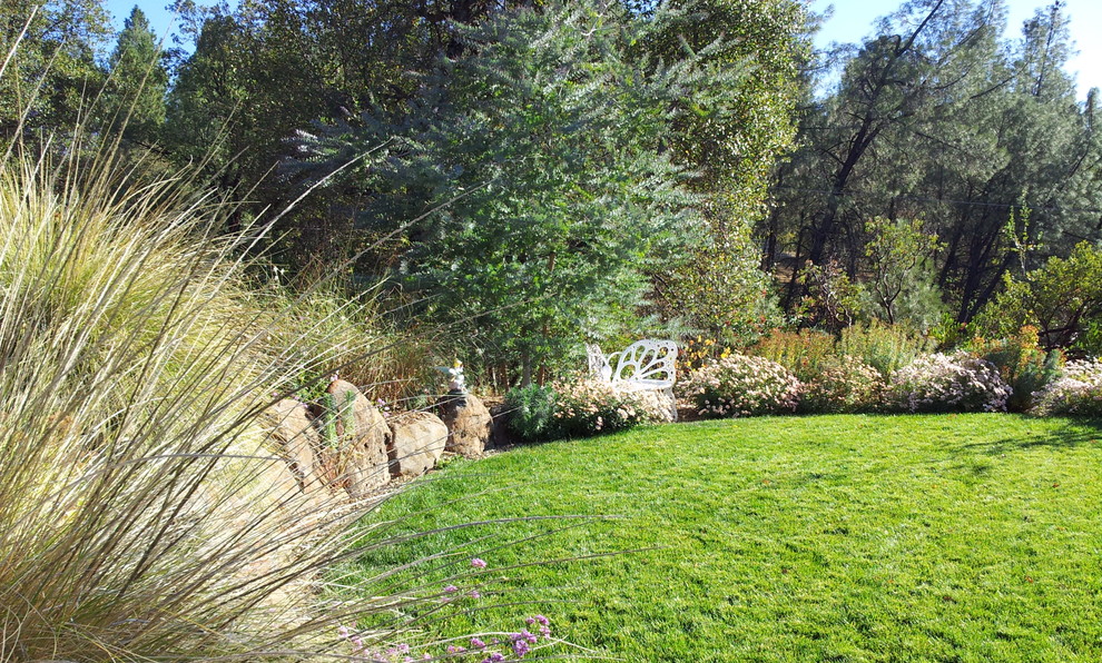 Immagine di un giardino formale classico esposto in pieno sole di medie dimensioni e dietro casa con pacciame