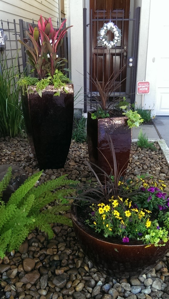 This is an example of a small modern partial sun front yard landscaping in Houston for spring.