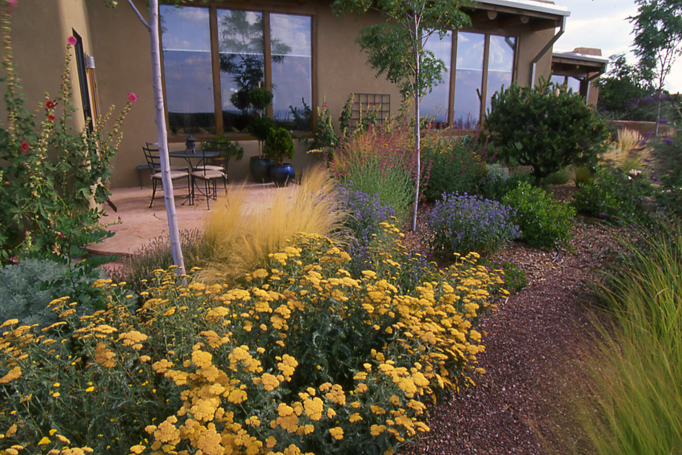 Design ideas for a garden in Albuquerque.