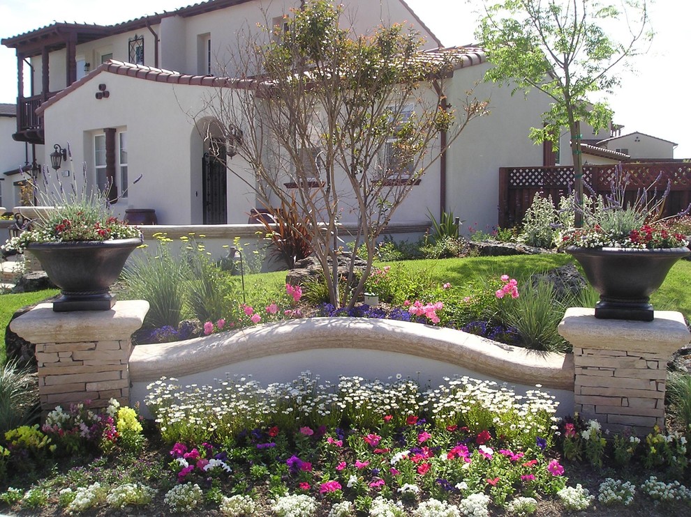 Foto di un grande giardino mediterraneo esposto in pieno sole dietro casa con un giardino in vaso e pacciame