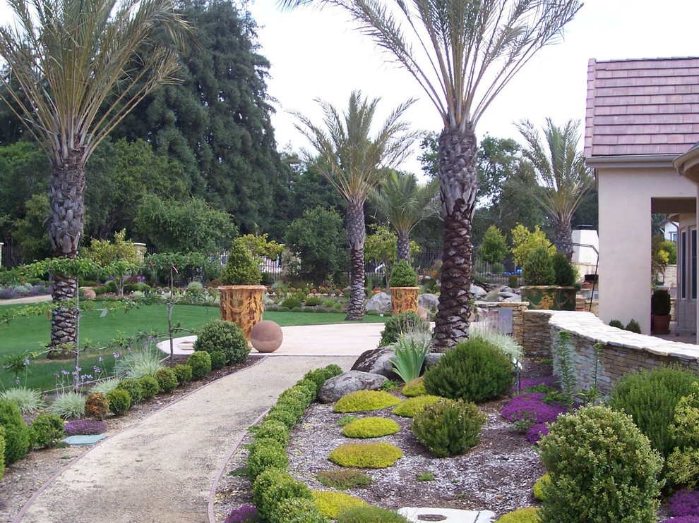 Idee per un grande giardino tropicale esposto in pieno sole dietro casa con un ingresso o sentiero e pacciame