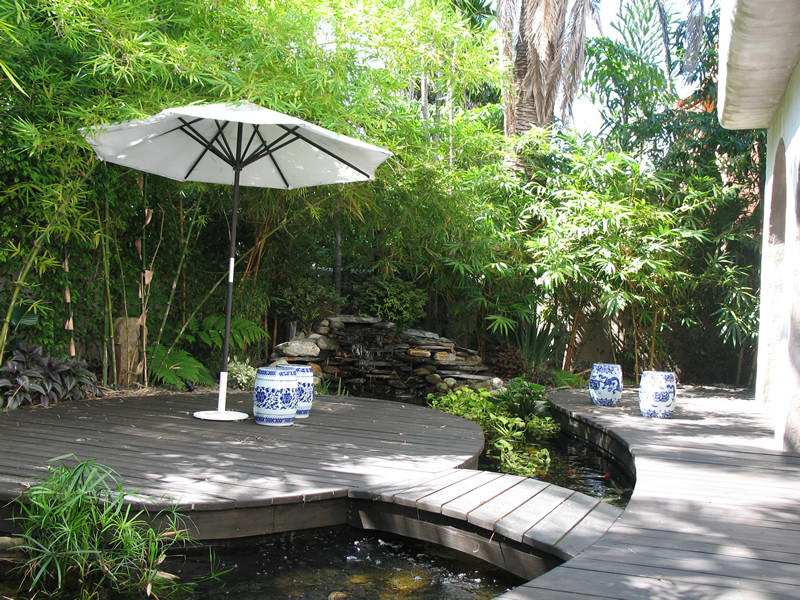 Mittelgroßer, Halbschattiger Moderner Gartenteich im Frühling, hinter dem Haus mit Dielen in Miami