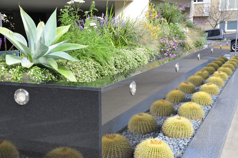 Идея дизайна: солнечный участок и сад среднего размера на заднем дворе в современном стиле с подъездной дорогой, растениями в контейнерах, хорошей освещенностью и покрытием из каменной брусчатки