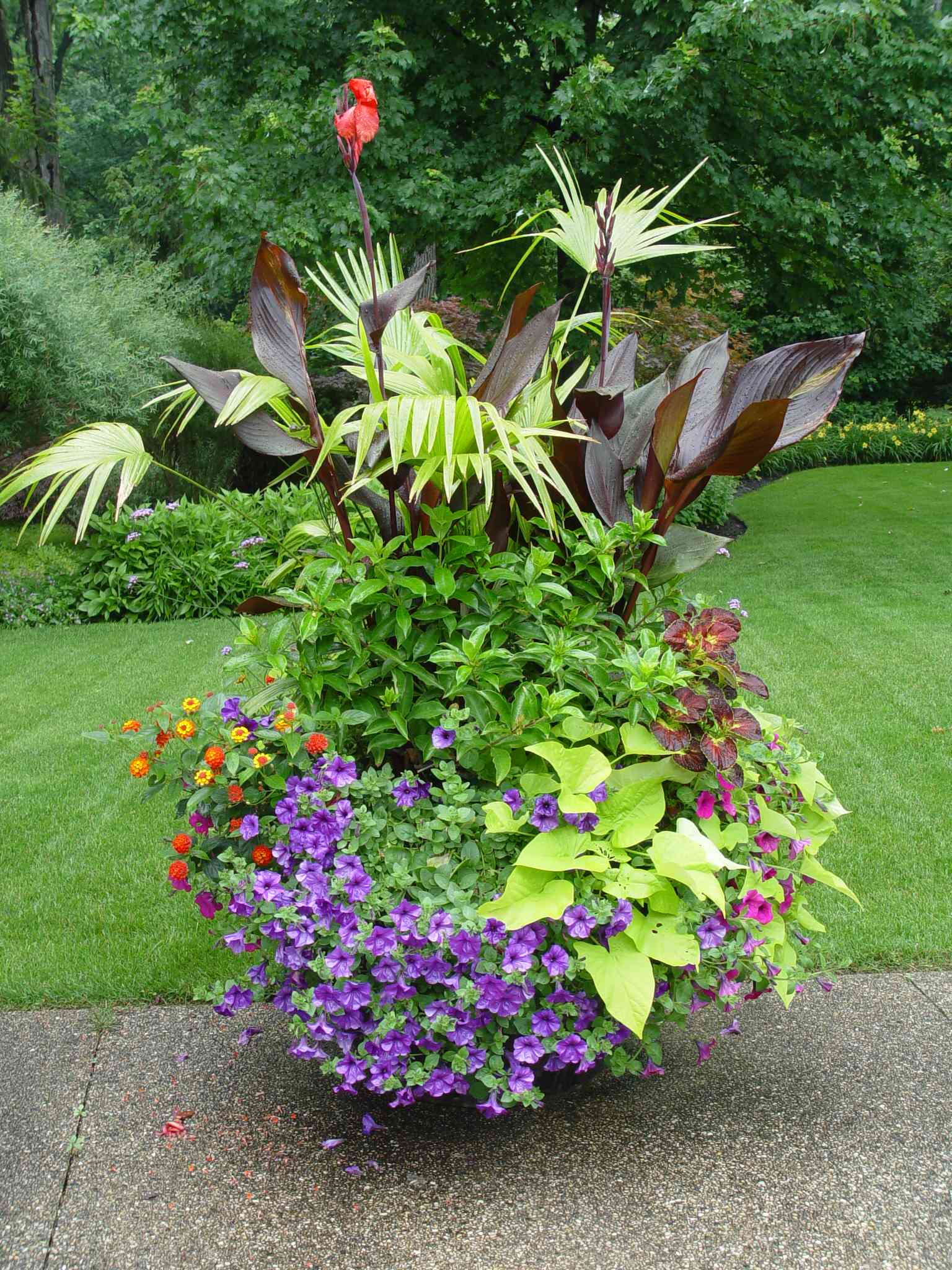 6 Knockout Container Garden Ideas For Large Flower Pots Planters Etc