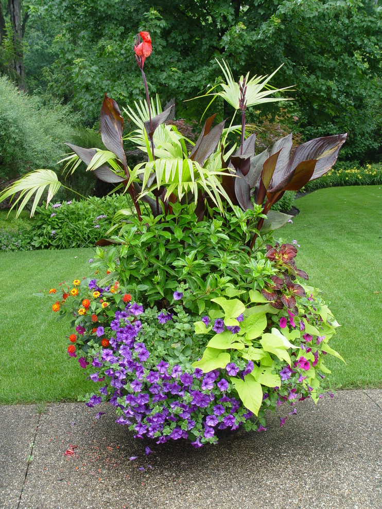 Esempio di un giardino bohémian esposto a mezz'ombra dietro casa in estate con un giardino in vaso
