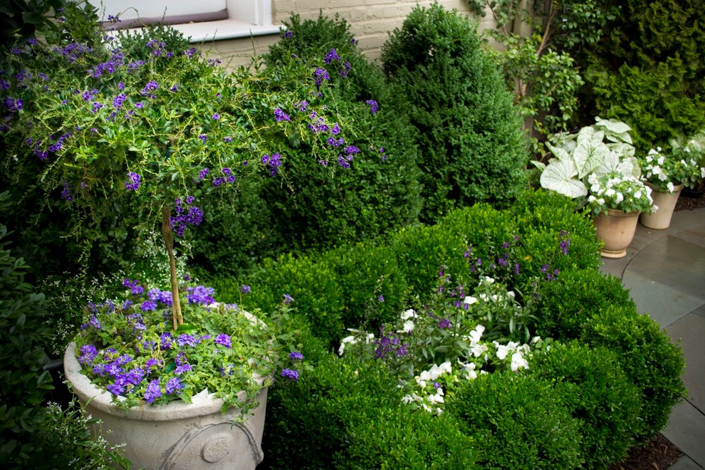 Design ideas for a small traditional shade backyard stone landscaping in DC Metro.