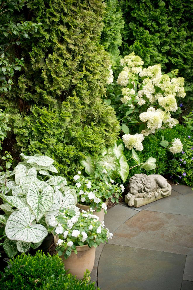 Inspiration pour un petit jardin arrière traditionnel avec des pavés en pierre naturelle et une exposition ombragée.