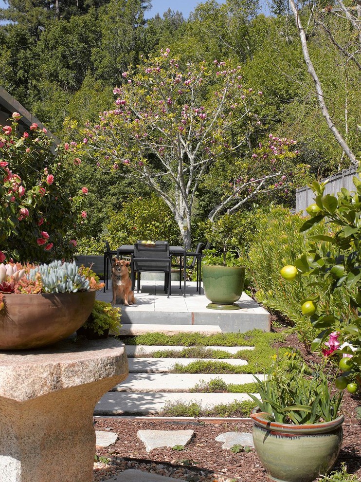 На фото: маленький участок и сад на боковом дворе в современном стиле с садовой дорожкой или калиткой, полуденной тенью и мощением тротуарной плиткой для на участке и в саду