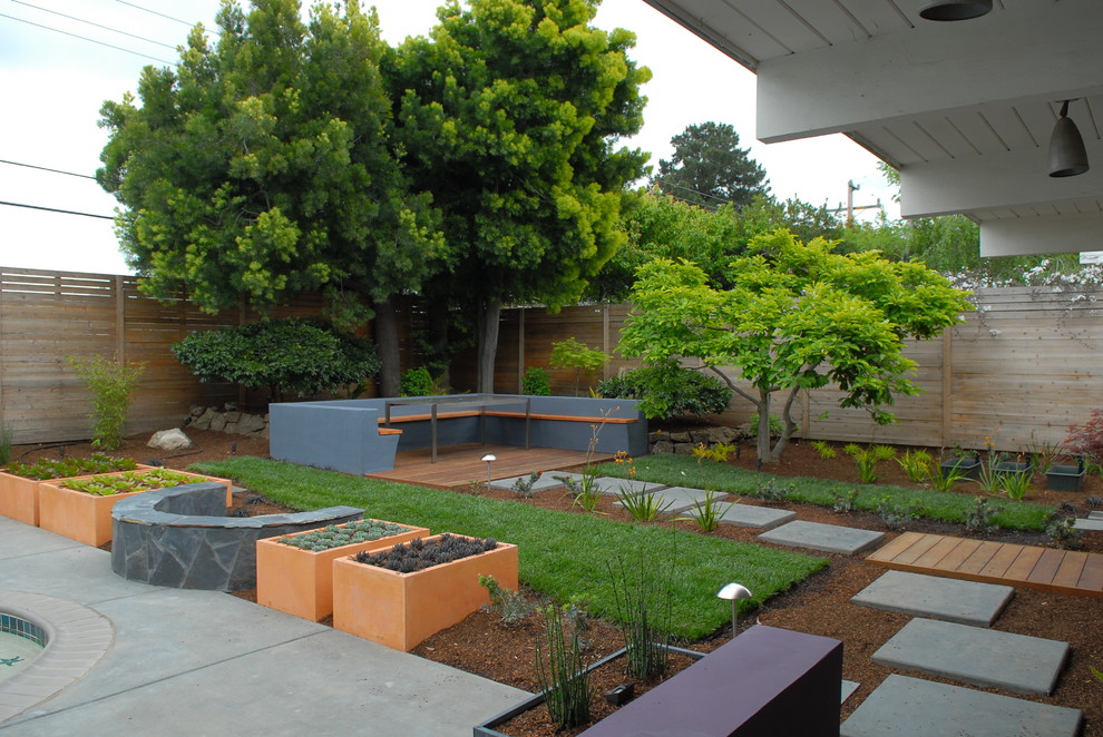 Mittelgroßer Retro Garten hinter dem Haus mit Kübelpflanzen in San Francisco