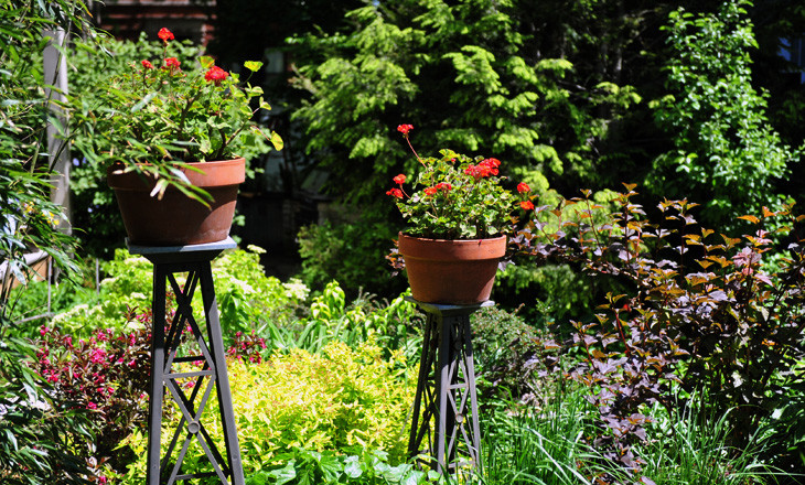 Immagine di un giardino chic