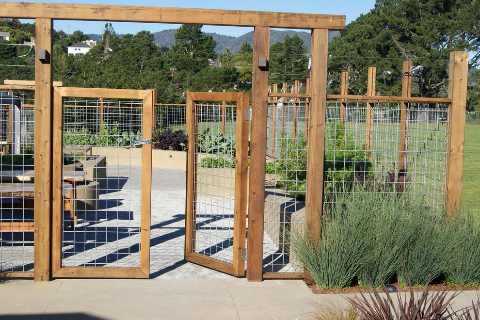 This is an example of a large contemporary full sun backyard concrete paver landscaping in San Francisco.