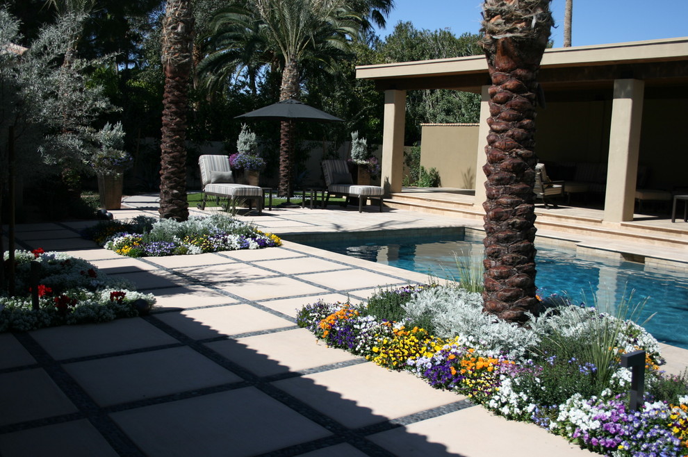 Photo of a landscaping in Phoenix.