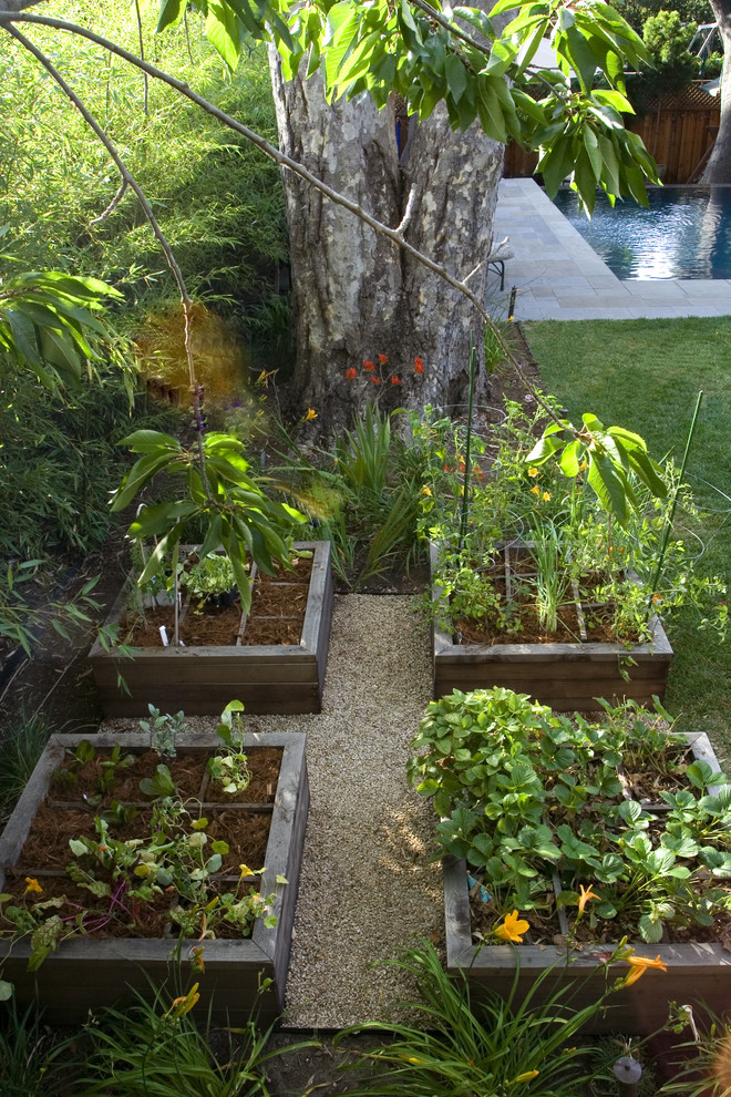 This is an example of a contemporary backyard landscaping in San Francisco.