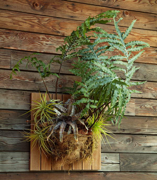 Outdoor living wall panel / Flora Grubb Contemporary