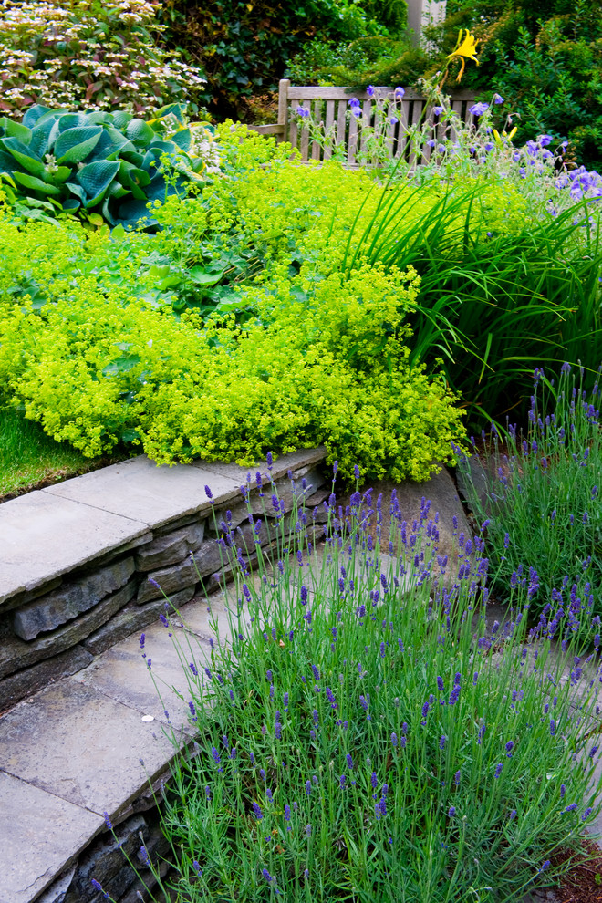 На фото: солнечный участок и сад на заднем дворе в классическом стиле с хорошей освещенностью с
