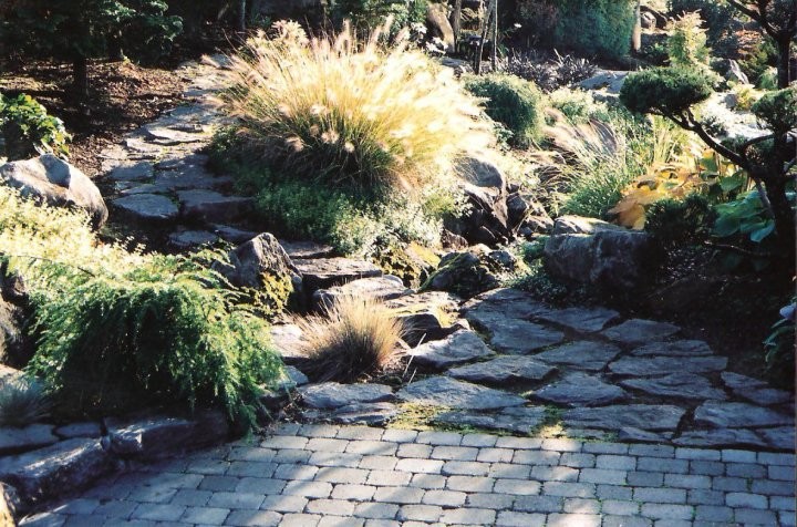 Photo of a traditional garden in Portland.