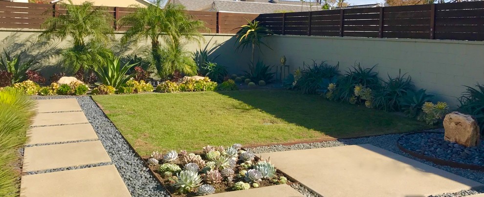 Cette image montre un jardin arrière minimaliste de taille moyenne et l'été avec une exposition partiellement ombragée et des pavés en béton.