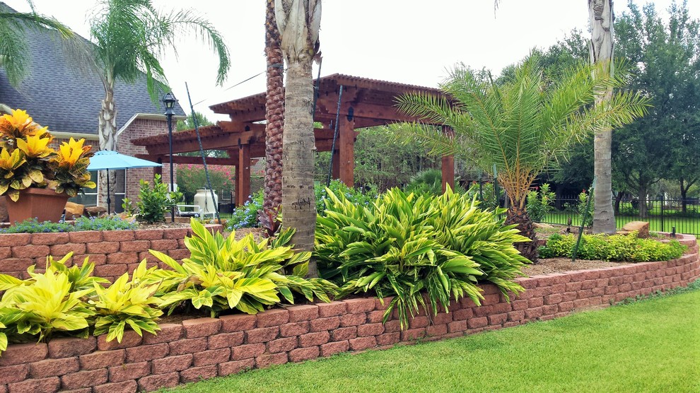 Imagen de jardín exótico en patio trasero con muro de contención, exposición parcial al sol y adoquines de hormigón