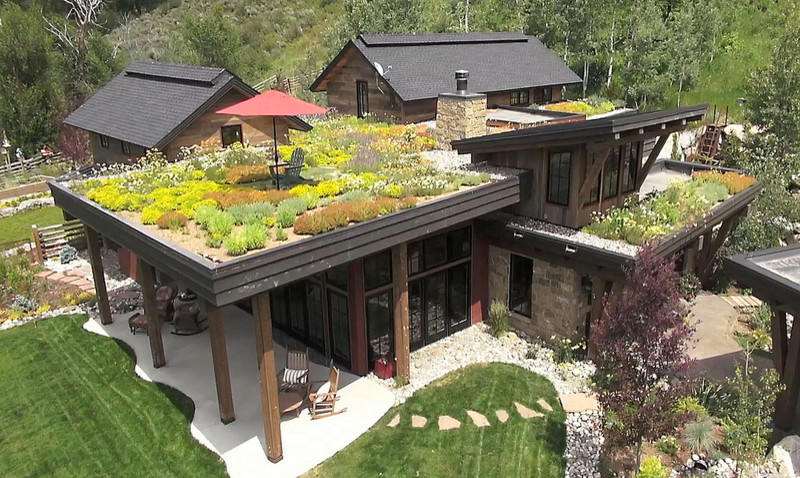 Design ideas for a contemporary landscaping in Denver.