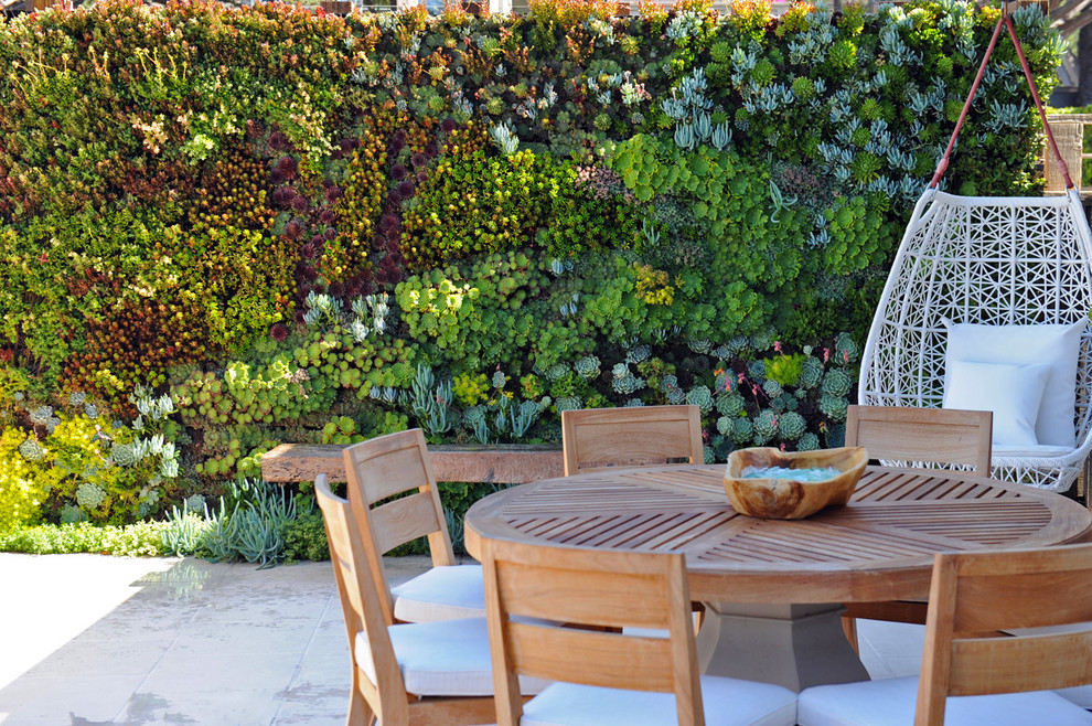 Photo of a beach style full sun garden in San Francisco with a living wall.