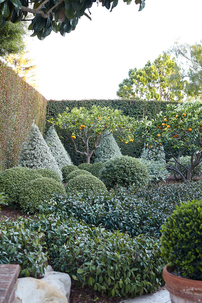 Immagine di un giardino formale mediterraneo esposto a mezz'ombra di medie dimensioni e dietro casa