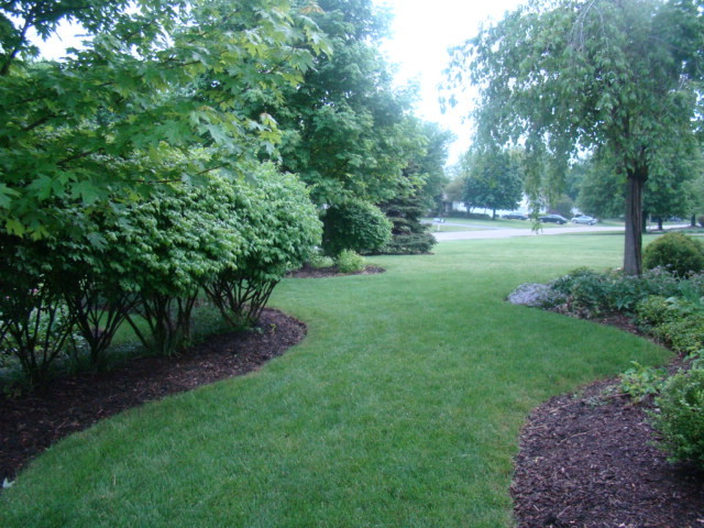Design ideas for a traditional landscaping in Chicago.