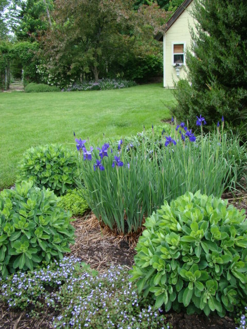 Design ideas for a traditional landscaping in Chicago.