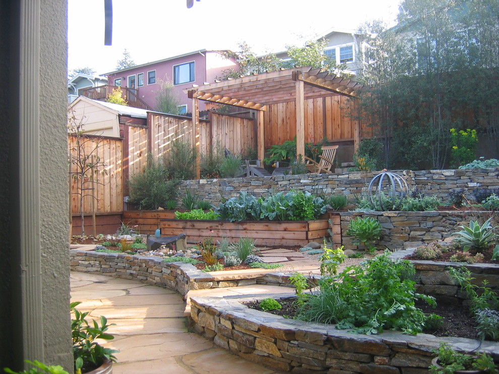 Design ideas for a contemporary landscaping in San Francisco.