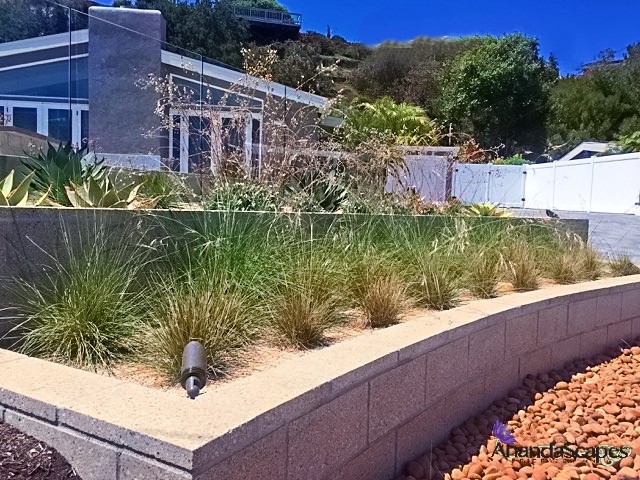 Design ideas for a modern landscaping in San Diego.