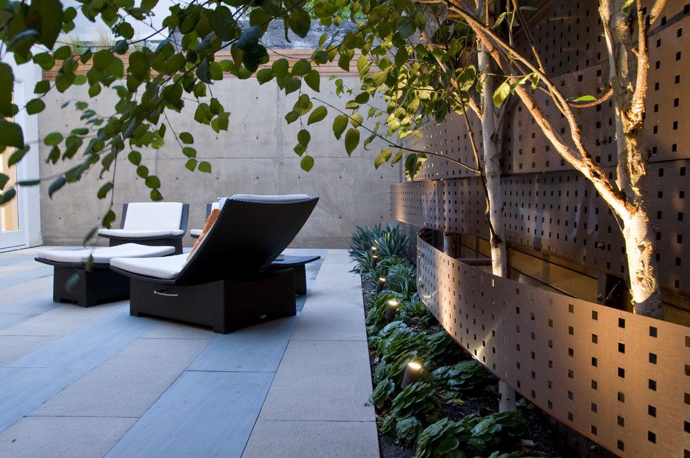 Kleiner Moderner Garten im Innenhof in San Francisco